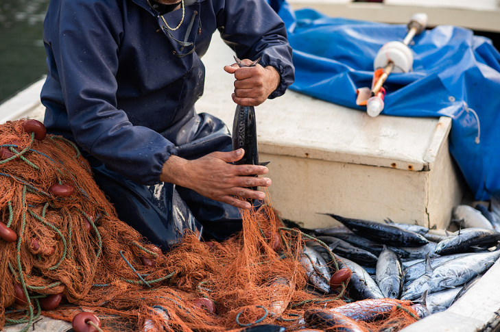 Sürdürülebilir  Balıkçılık