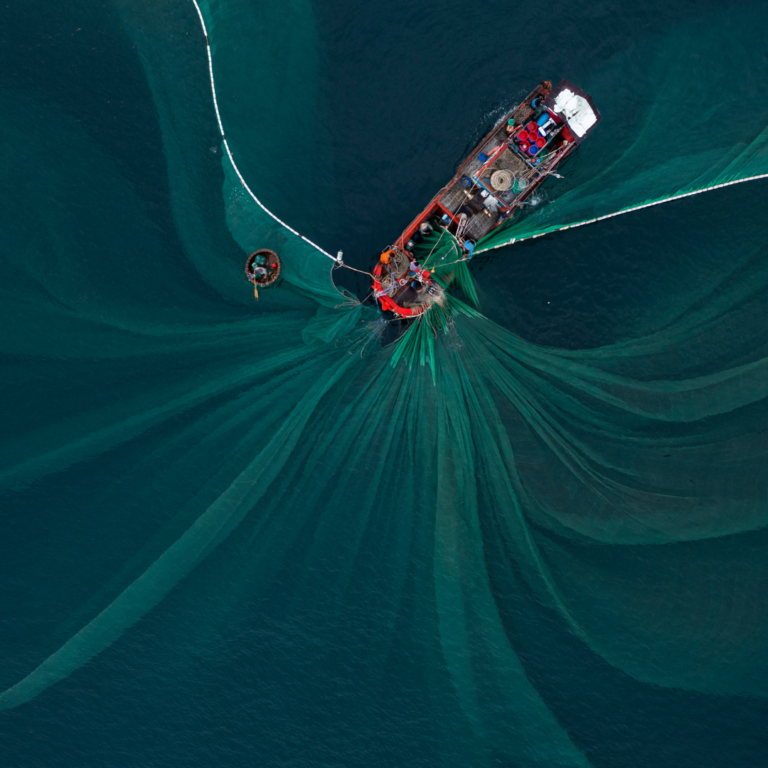 Denizlerimizi Koruma Yolunda Adımlar